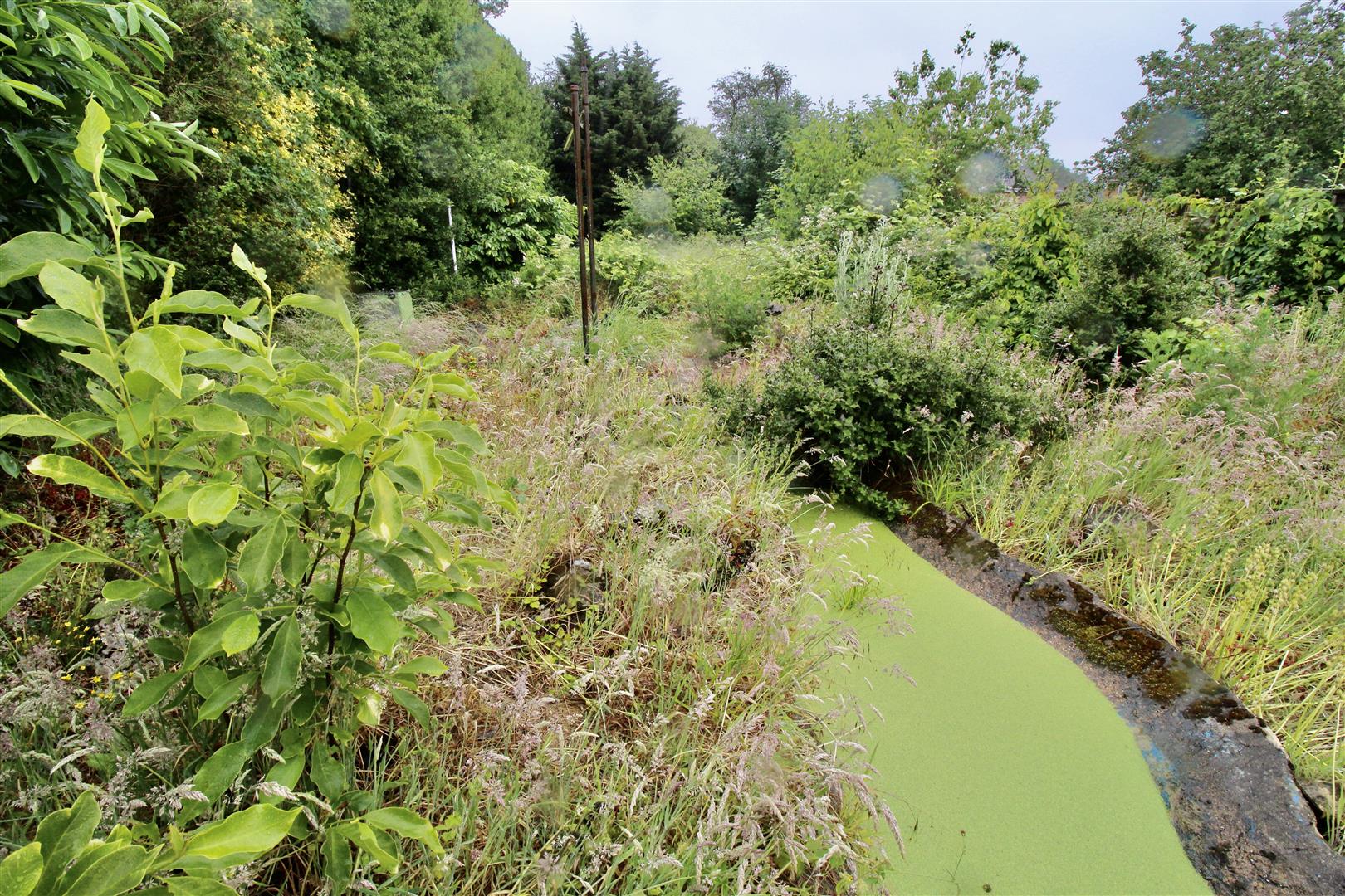 Hurst Lane, Shard End