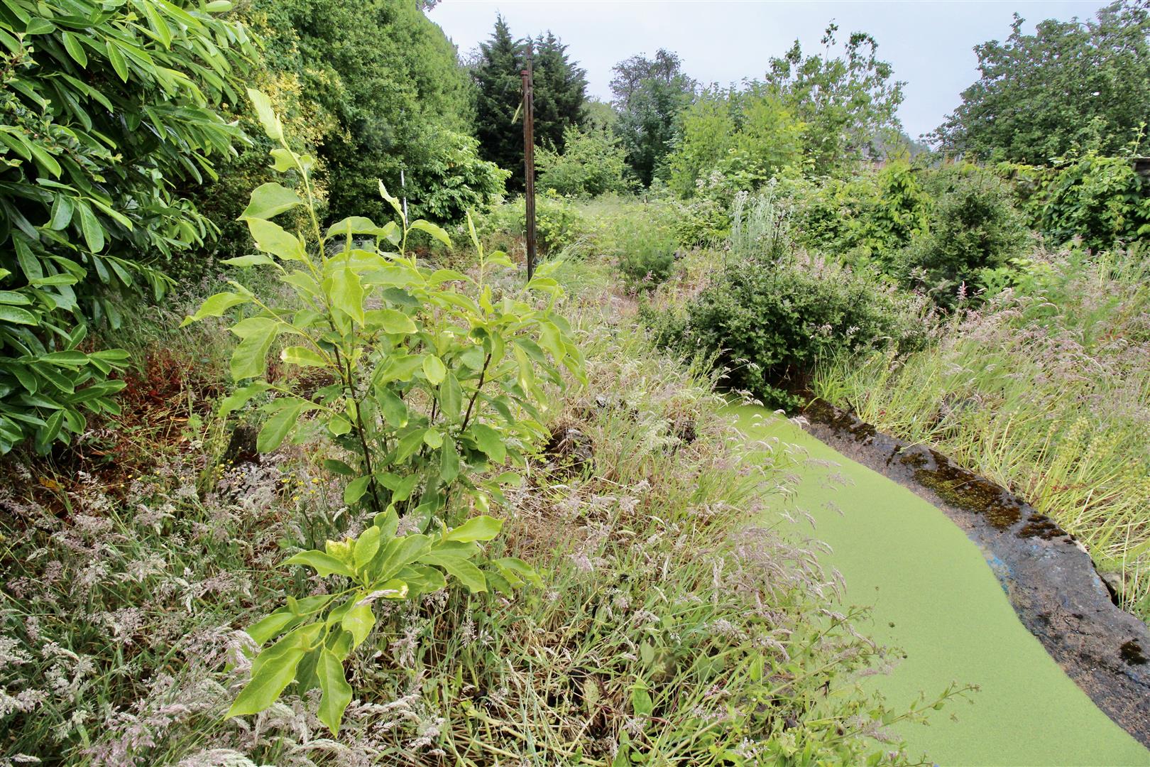 Hurst Lane, Shard End